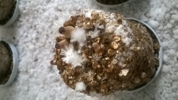 WP_20170423_016.jpg