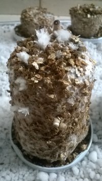WP_20170423_017.jpg