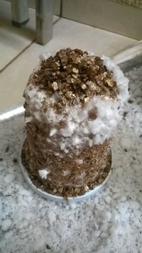 WP_20170423_024.jpg