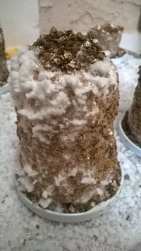 WP_20170423_027.jpg