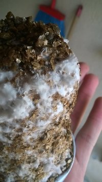 WP_20170423_029.jpg
