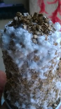 WP_20170423_030.jpg