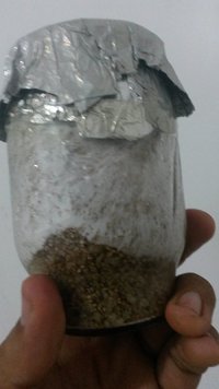 IMG-20170403-WA0022.jpeg