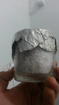 IMG-20170403-WA0020.jpeg