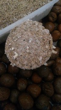 20170423_122004.jpg