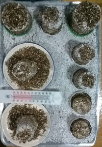WP_20170424_010.jpg