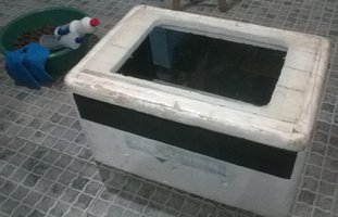 WP_20170424_020.jpg