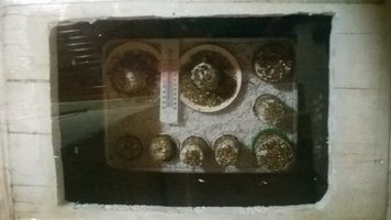 WP_20170424_022.jpg