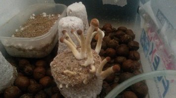 20170425_080041.jpg
