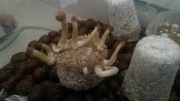 20170425_080036.jpg