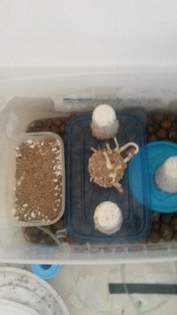 20170425_081431.jpg