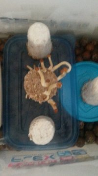 20170425_081437.jpg