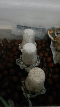 20170425_174222.jpg