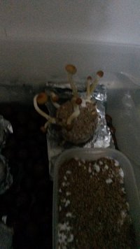 20170425_174306.jpg