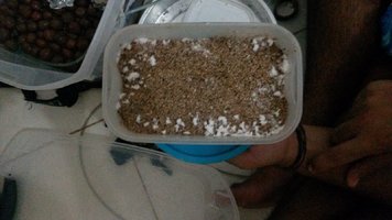 20170425_173639.jpg