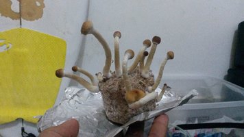 20170425_173503.jpg