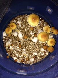 IMG-20170425-WA0043.jpg