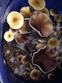 IMG-20170426-WA0015.jpg