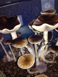 IMG-20170426-WA0014.jpg