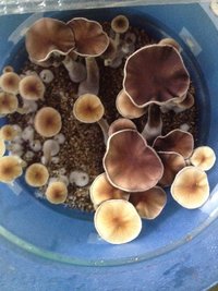 IMG-20170426-WA0013.jpg
