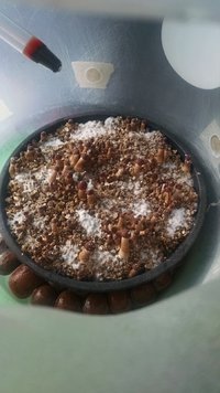 IMG_20170426_161544185.jpg