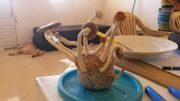 20170426_122109.jpg