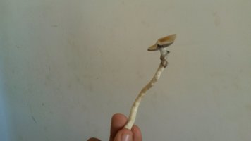 20170426_122406.jpg