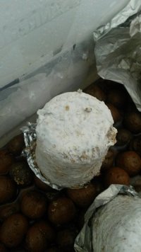 20170426_122738.jpg