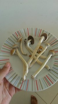 20170426_122713.jpg