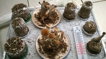 WP_20170427_001.jpg