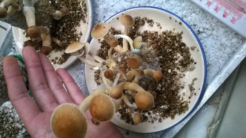 WP_20170427_002.jpg