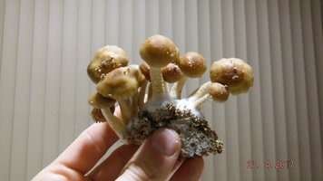 DSCF3498.JPG