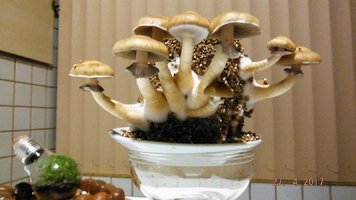 DSCF3495.JPG
