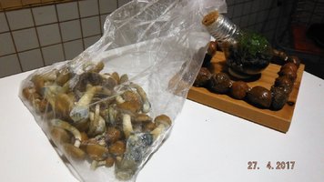 DSCF3500.JPG