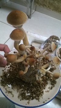 WP_20170427_003.jpg
