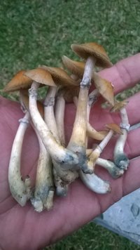 WP_20170427_008.jpg