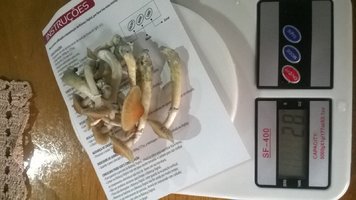 WP_20170427_010.jpg