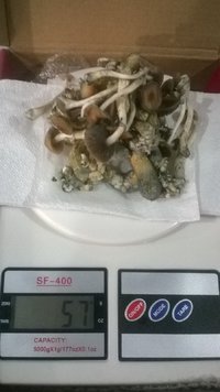 WP_20170428_009.jpg