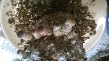 WP_20170430_003.jpg