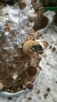 WP_20170430_007.jpg