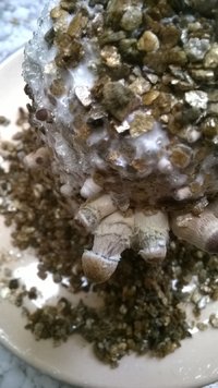 WP_20170430_008.jpg