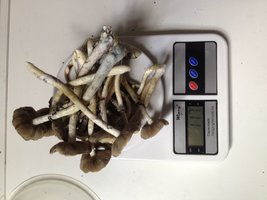 IMG-20170430-WA0032.jpg