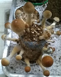WP_20170502_001.jpg