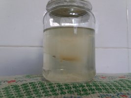 02b - estado da colonização antes da geladeira.jpg