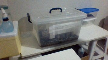 TERRÁRIO FRENTE.jpg