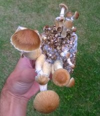 WP_20170504_002.jpg