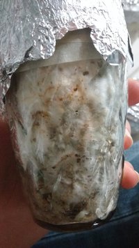IMG_20170504_154847513.jpg