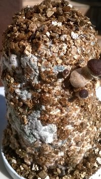 WP_20170507_004.jpg