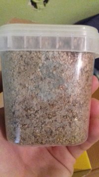 1 verde (1).jpg