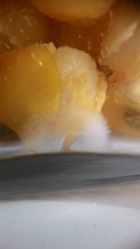P_20170510_085432.jpg